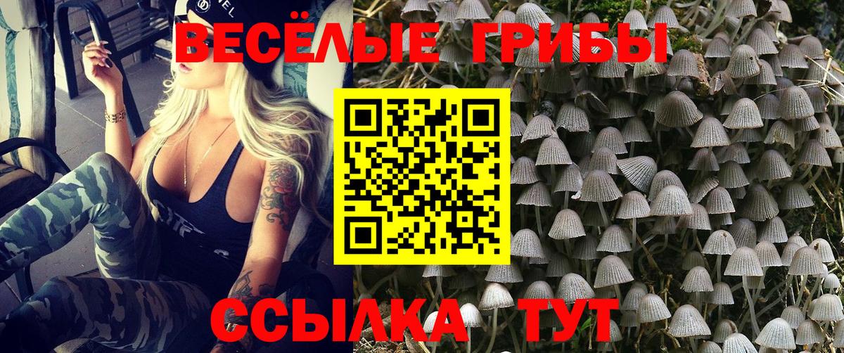 Галлюциногенные грибы мухоморы Ивантеевка