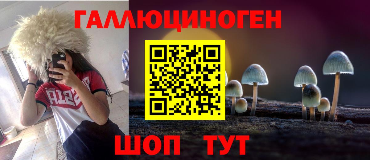 Псилоцибиновые грибы прущие грибы  Вход с VPN  Ивантеевка 